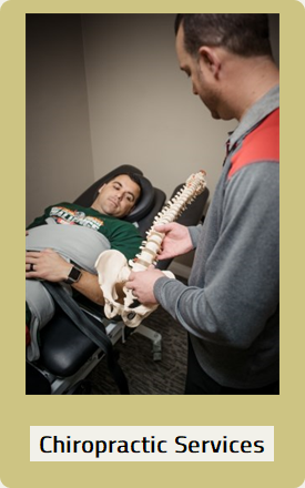 Chiropractic Services